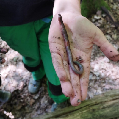 Es gibt viel zu entdecken Es gibt viel zu entdecken