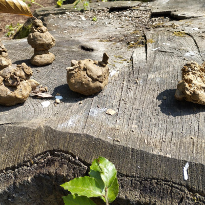 ...und modellieren ...und modellieren